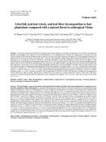 Báo cáo lâm nghiệp: 