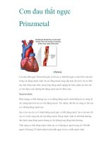 Cơn đau thắt ngực Prinzmetal pptx