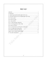 Thực trạng ô nhiễm biển việt nam và một số nguyên nhân gây ra thực trạng đó