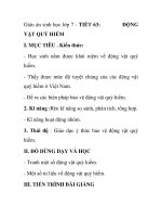 Giáo án sinh học lớp 7 - TIẾT 63: VẬT QUÝ HIẾM pot