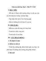 Giáo án sinh học lớp 6 - Bài 37: TẢO docx