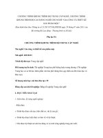 CHƯƠNG TRÌNH KHUNG TRÌNH ĐỘ TRUNG CẤP NGHỀ, CHƯƠNG TRÌNH KHUNG TRÌNH ĐỘ CAO ĐẲNG NGHỀ CHO NGHỀ “GIA CÔNG VÀ THIẾT KẾ SẢN PHẨM MỘC” pot