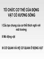 TỔ CHỨC CƠ THỂ ĐỘNG VẬT CÓ XƯƠNG SỐNG ppt