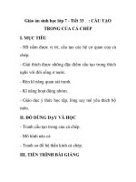 Giáo án sinh học lớp 7 - Tiết 33 : CẤU TẠO TRONG CỦA CÁ CHÉP pptx