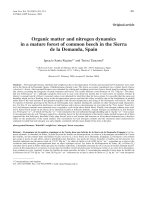 Báo cáo khoa học: 