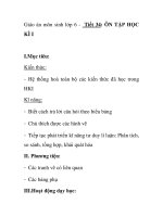 Giáo án môn sinh lớp 6 - Tiết 34: ÔN TẬP HỌC KÌ I pot