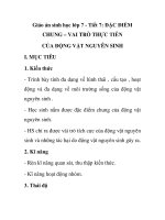 Giáo án sinh học lớp 7 - Tiết 7: ĐẶC ĐIỂM CHUNG – VAI TRÒ THỰC TIỄN CỦA ĐỘNG VẬT NGUYÊN SINH potx