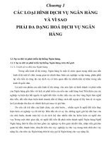 Chương 1 CÁC LOẠI HÌNH DỊCH VỤ NGÂN HÀNG VÀ VÌ SAO PHẢI ĐA DẠNG HOÁ DỊCH VỤ NGÂN HÀNG pot