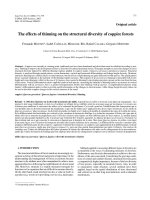 Báo cáo lâm nghiệp: 