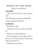 Sinh học lớp 9 - Tiết 21 - BÀI 20: Thực hành: Quan sát và lắp mô hình adn pdf