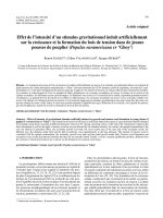 Báo cáo lâm nghiệp: 