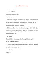 Giáo án Địa Lý lớp 10: ĐỊA LÍ THƯƠNG MẠI pdf