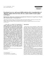 Báo cáo khoa học: 