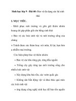 Sinh học lớp 9 - Bài 60: Bảo vệ đa dạng các hệ sinh thái pot