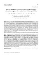 Báo cáo lâm nghiệp: 