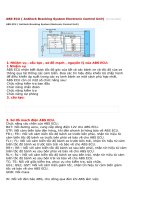 ABS ECU potx