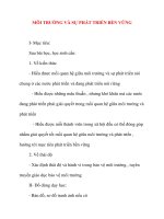 Giáo án Địa Lý lớp 10: MÔI TRƯỜNG VÀ SỰ PHÁT TRIỂN BỀN VỮNG pptx