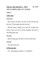 Giáo án môn sinh lớp 6 - Tiết 7 SỰ LỚN LÊN VÀ PHÂN CHIA CỦA TẾ BÀO pps