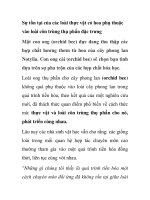 Sự tồn tại của các loài thực vật có hoa phụ thuộc vào loài côn trùng thụ phấn đặc trưng pdf