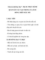 Giáo án sinh học lớp 7 - Bài 36: THỰC HÀNH QUAN SÁT CẤU TẠO TRONG CỦA ẾCH ĐỒNG ppt