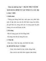 Giáo án sinh học lớp 7 - Bài 28: THỰC HÀNH XEM BĂNG HÌNH VỀ TẬP TÍNH CỦA SÂU BỌ pot