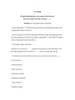 MẪU TỜ TRÌNH Đề nghị chấp thuận đầu tư dự án phát triển khu nhà ở (hoặc dự án phát triển nhà ở độc lập) ppsx