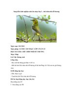 Sang kiến kinh nghiệm môn âm nhạc lớp 2 – chú chim nhỏ dễ thương pptx