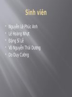 Bai thuyet trinh nhom 3 docx