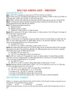 BÀI TẬP AMINO AXIT – PROTEIN doc