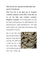 Nấm Vân Chi- hy vọng mới cho bệnh nhân viêm gan B và Ung thư gan ppt