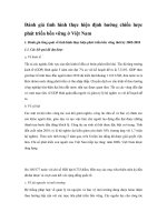 Đánh giá tình hình thực hiện định hướng chiến lược phát triển bền vững ở Việt Nam pptx