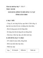 Giáo án sinh học lớp 7 - Tiết 47 : THỰC HÀNH XEM BĂNG HÌNH VỀ ĐỜI SỐNG VÀ TẬP TÍNH LOÀI CHIM potx