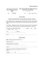 Mẫu quyết định số 04: Quyết định xử phạt vi phạm hành chính bằng hình thức phạt tiền về sử dụng năng lượng tiết kiệm và hiệu quả theo thủ tục đơn giản doc