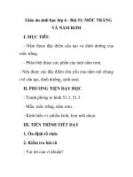 Giáo án sinh học lớp 6 - Bài 51: MỐC TRẮNG VÀ NẤM RƠM docx