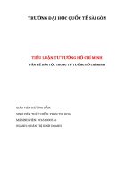 TIỂU LUẬN TƯ TƯỞNG HỒ CHÍ MINH “VẤN ĐỀ DÂN TỘC TRONG TƯ TƯỞNG HỒ CHÍ MINH” ppsx