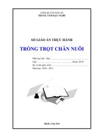 SỔ GIÁO ÁN THỰC HÀNH TRỒNG TRỌT CHĂN NUÔI - GIÁO ÁN SỐ 1 docx