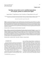 Báo cáo lâm nghiệp: