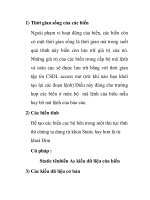 Thời gian sống của các biến pptx