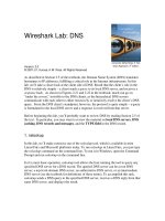 Wireshark Lab: DNS pptx