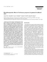 Báo cáo khoa học: 