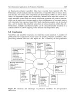 Nanotechnology Global Strategies, Industry Trends and Applications phần 9 doc