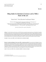 Báo cáo khoa học: 