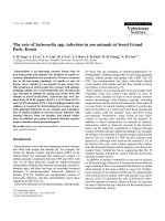 Báo cáo khoa học: 