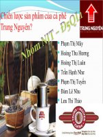 Chiến lược sản phẩm của cà phê Trung Nguyên3 pps