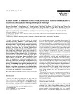 Báo cáo khoa học: 