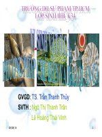Vi sinh vật cá phương pháp chế biến và bảo quản pps