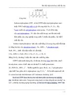 Bài tiểu luận môn học chất tẩy rửa pot