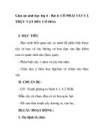 Giáo án sinh học lớp 6 - Bài 4: CÓ PHẢI TẤT CẢ THỰC VẬT ĐỀU CÓ HOA ppt