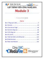 lập trình viên công nghệ java module 3