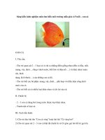 Sáng kiến kinh nghiệm môn tìm hiểu môi trường mẫu giáo 4-5 tuổi – con cá ppt